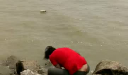 抓螃蟹的视频,海洋捕捞的精彩瞬间